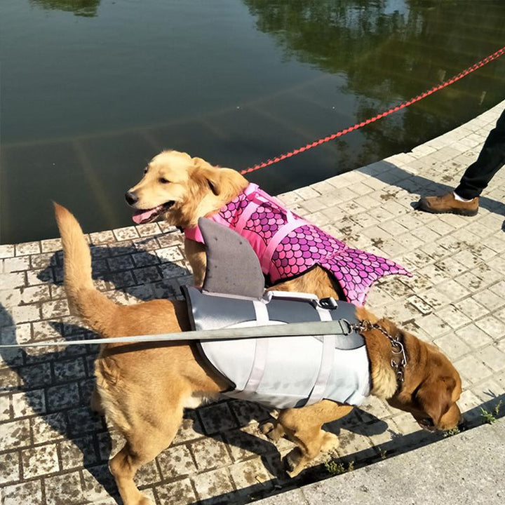 BowLift | Dog Swim Safety Jacket