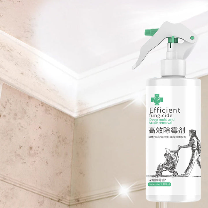 BowLift | High-Efficiency Mold Remover