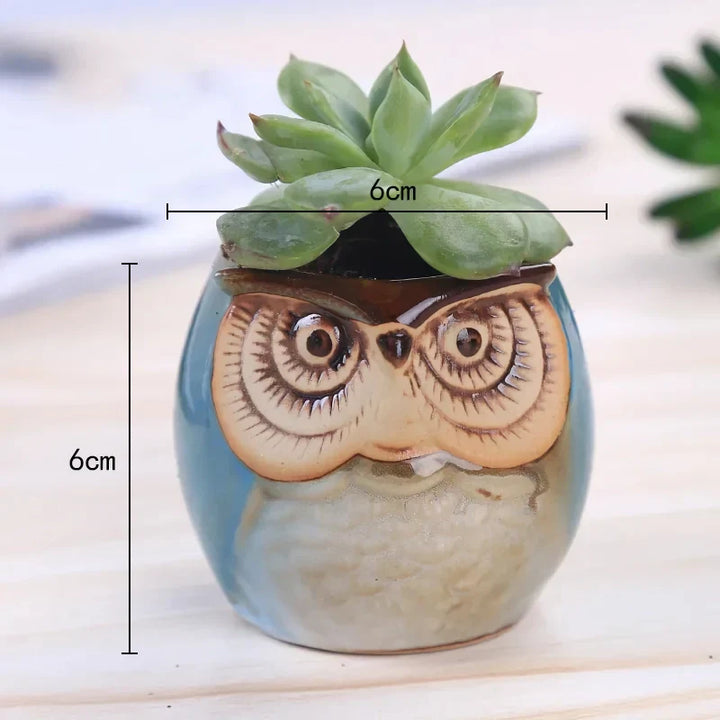 BowLift | Mini Owl Ceramic Plant Planter