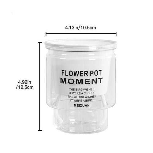 BowLift | Self-Watering Transparent Succulent Planter