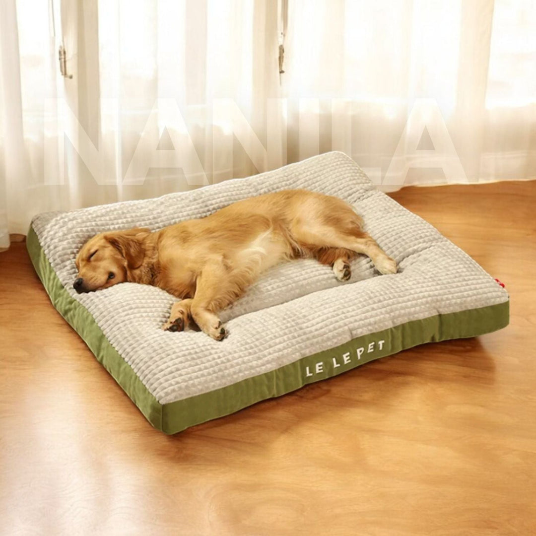 BowLift | PawHaven – For restful sleep and happy dog days
