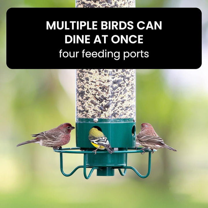 BowLift | Bird Feeder Hanging Metal Squirrel Proof Tube