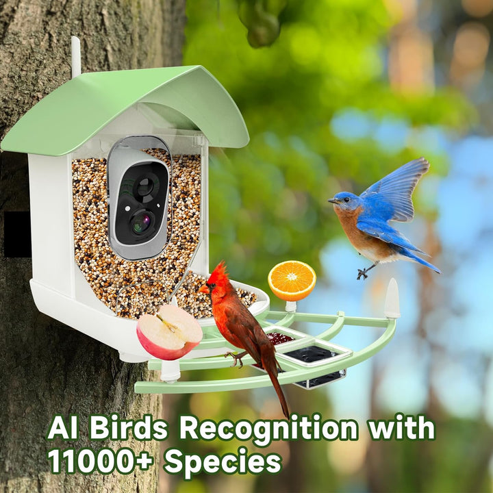 BowLift | Smart Bird Feeder Camera with AI Recognition & Night Vision