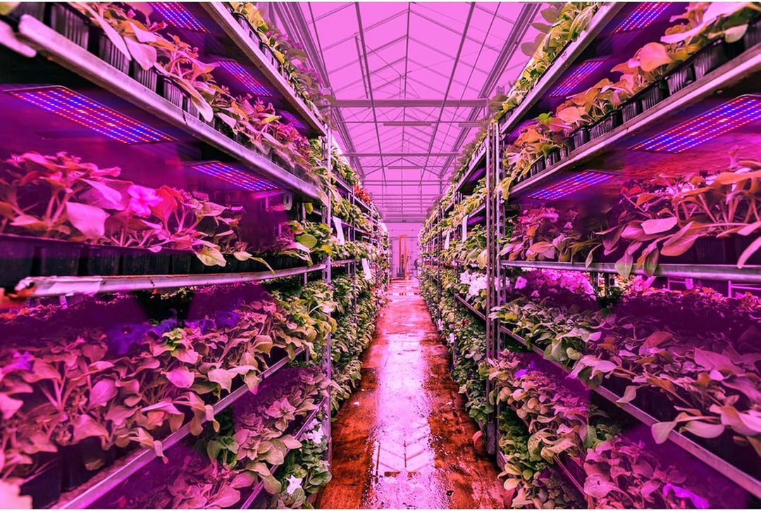 BowLift | LED Quantum Plant Light Panel for Growth and Color Promotion – With Adjustable Light Mode