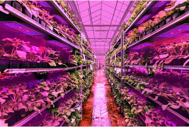 BowLift | LED Quantum Plant Light Panel for Growth and Color Promotion – With Adjustable Light Mode
