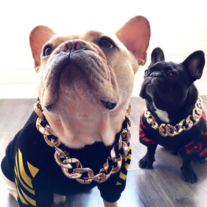BowLift | Pet Jewelry Thick Gold Chain Collar