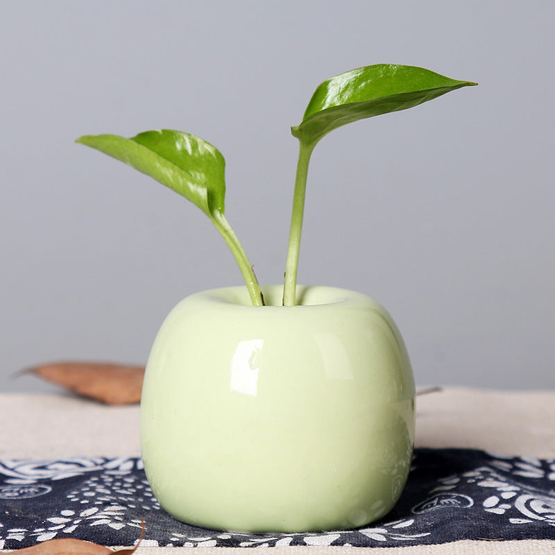 Artistic Ceramic Apple-Shaped Planter Bowlift
