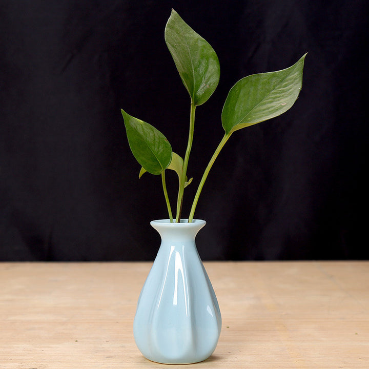 Elegant Ceramic Flower Holder Bowlift