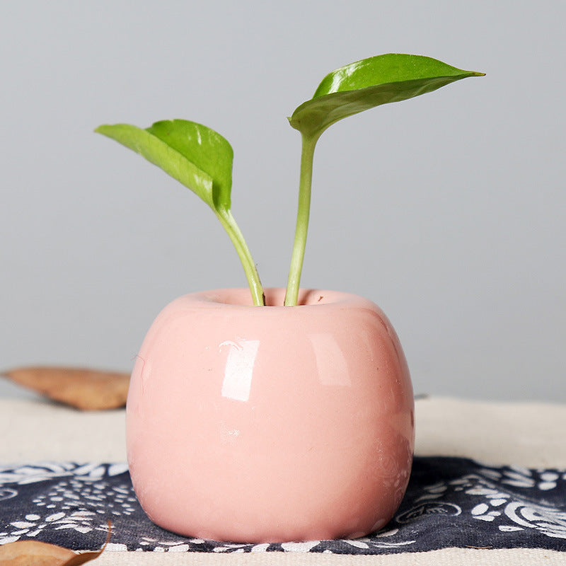 Artistic Ceramic Apple-Shaped Planter Bowlift