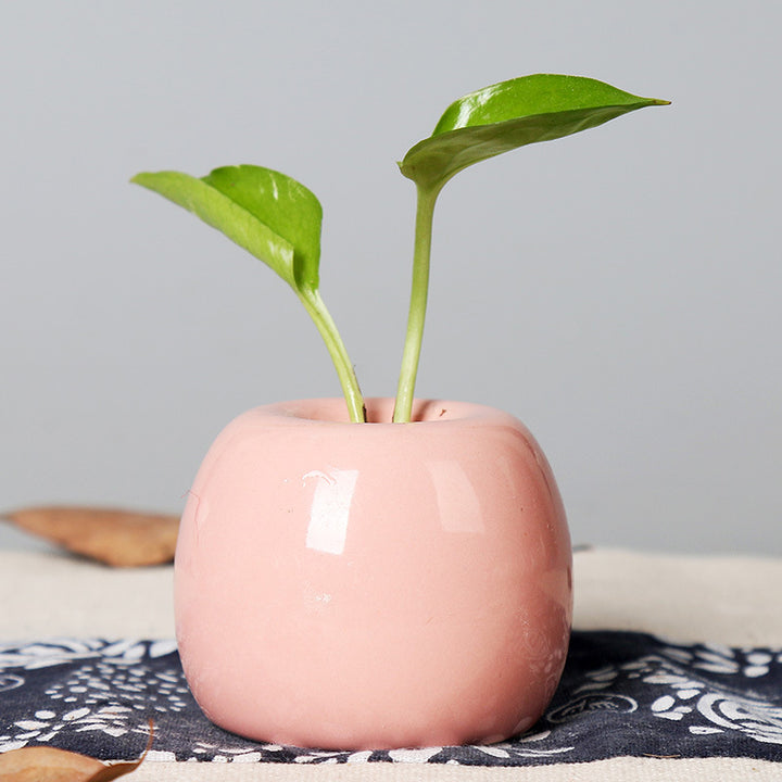 Artistic Ceramic Apple-Shaped Planter Bowlift