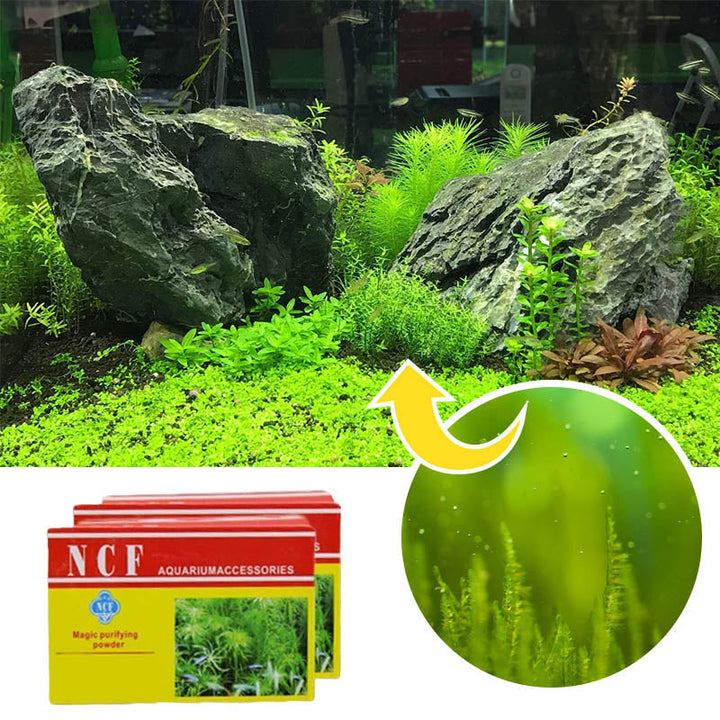 BowLift | Aquarium Cleaning Powder