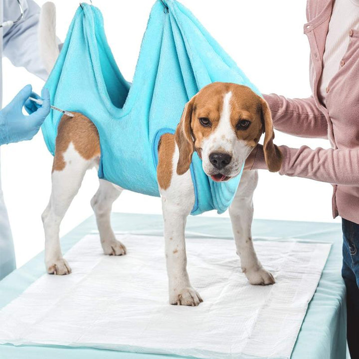 BowLift | Pet Care Hammock