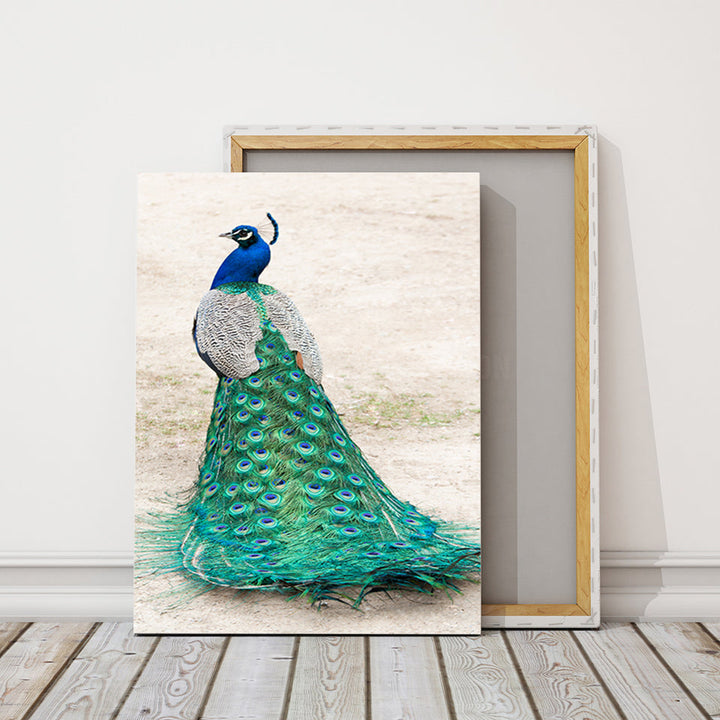 Skirted Elegant Peacock - Canvas Wall Art Painting | Bowlift