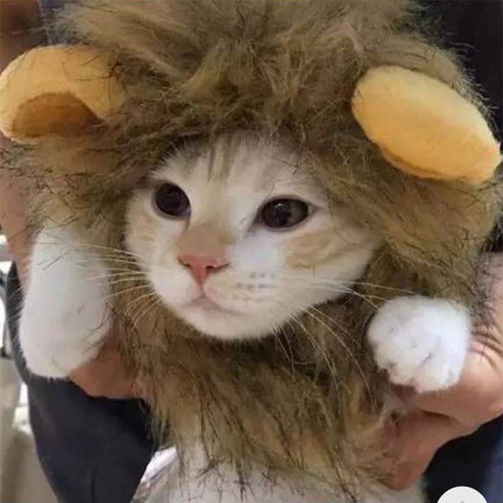 BowLift | Pet Simulation Lion Mane