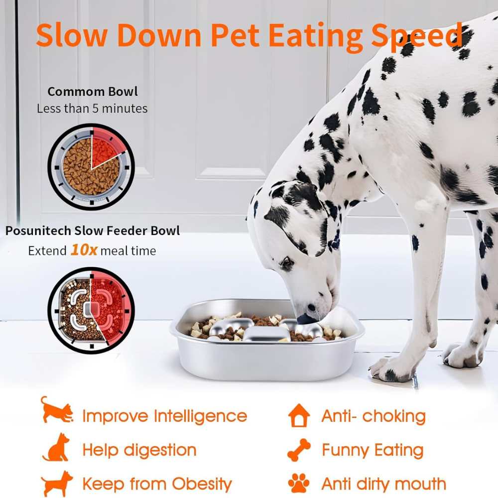 MightyBite • Dog Feeding Bowl Slow