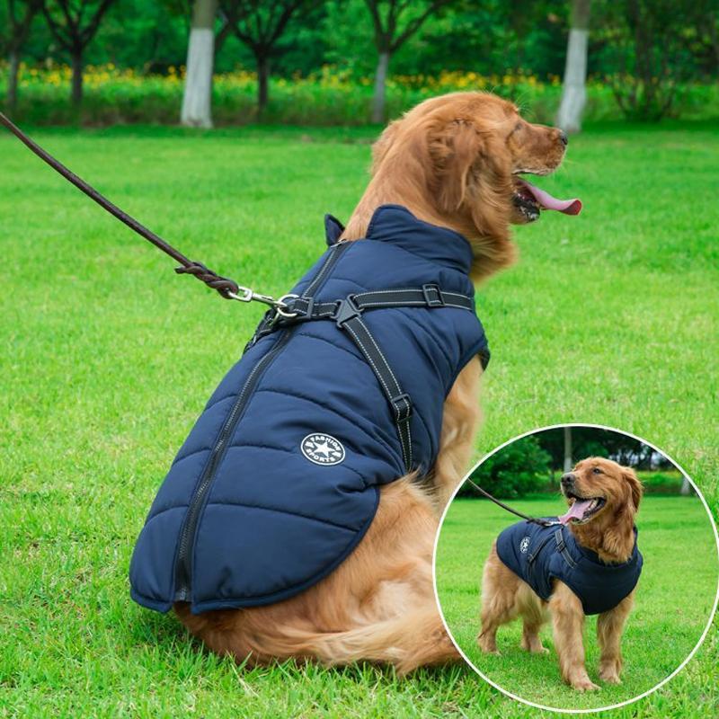 Winter coat with zipper for dogs | Bowlift