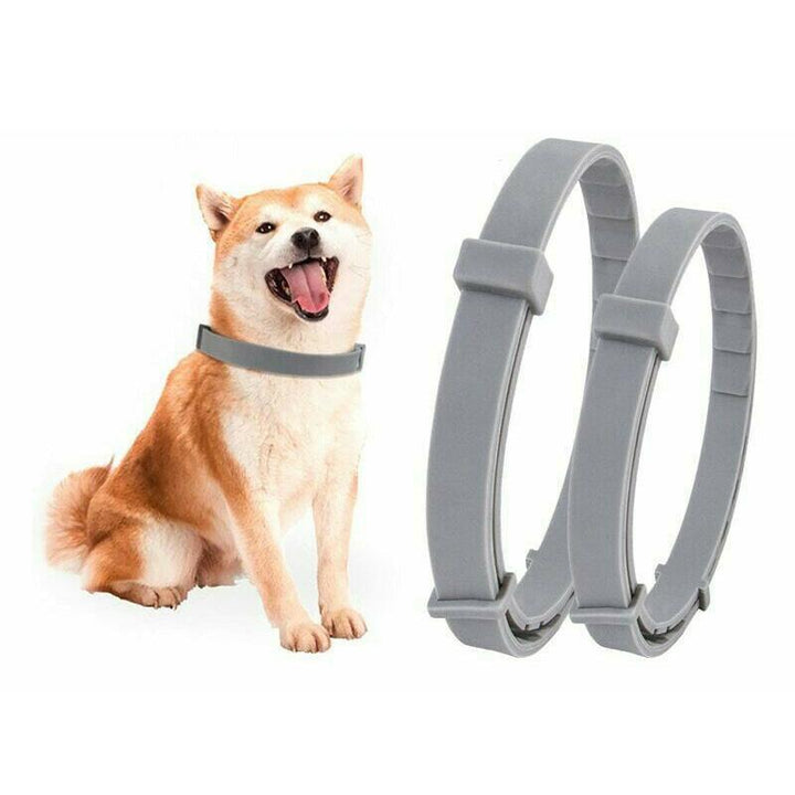 BowLift | Adjustable Insect Defense Collar for Pets