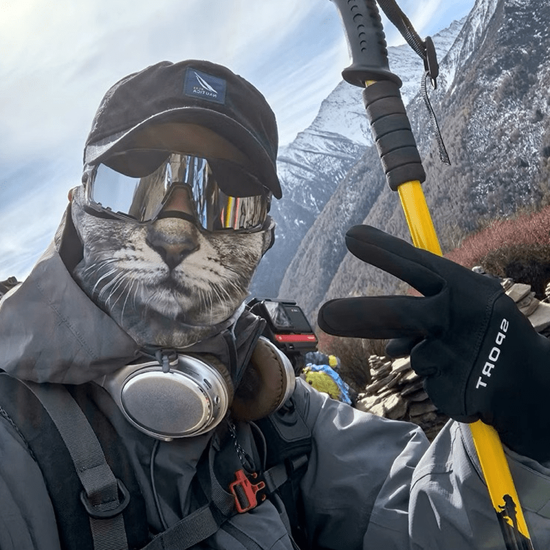 BowLift | Sun protection mask