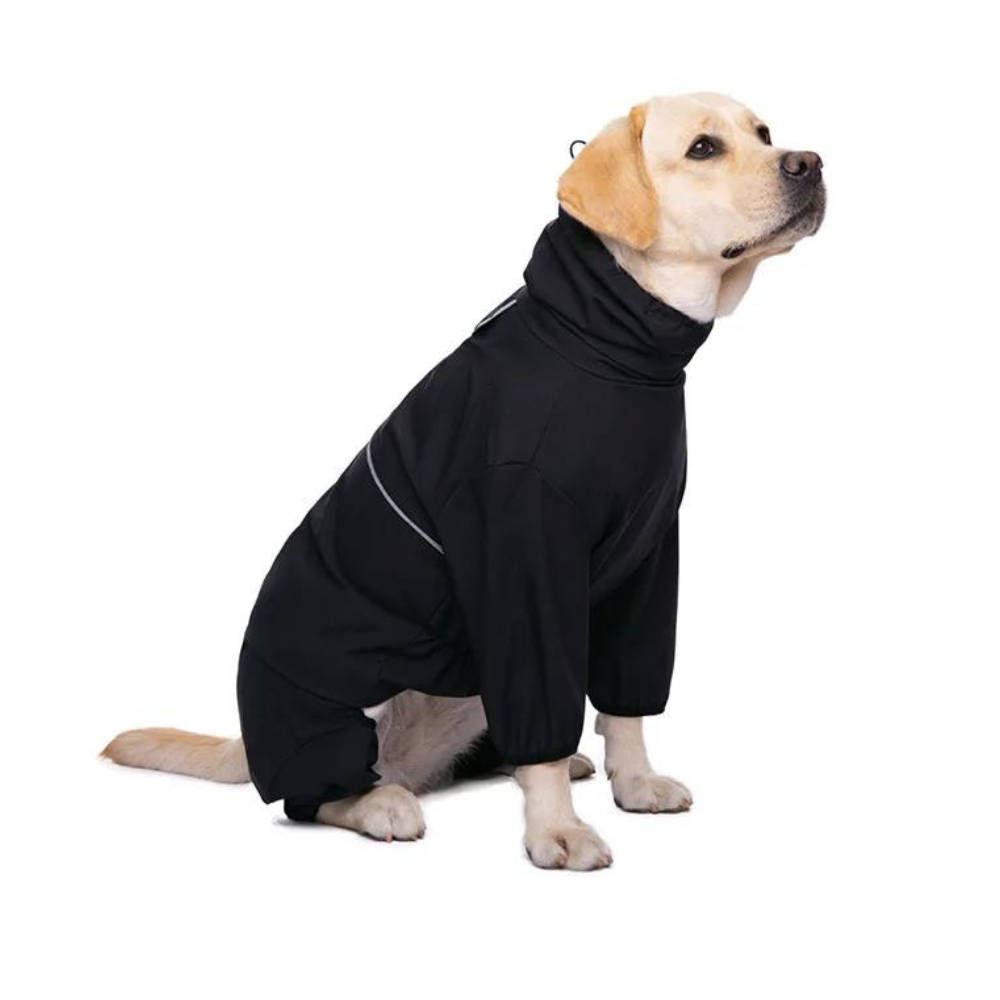 StormGuard • Dog Waterproof Raincoat