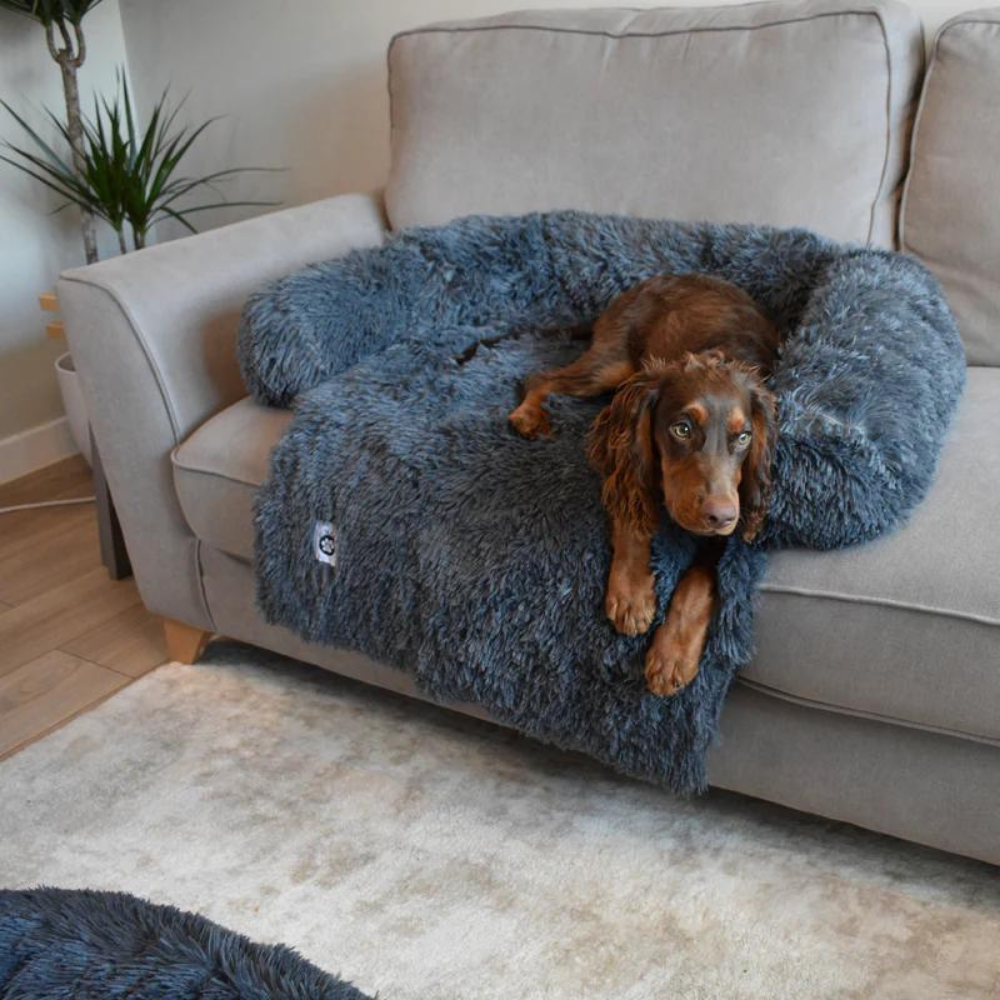 PawShield • Sofa Protector