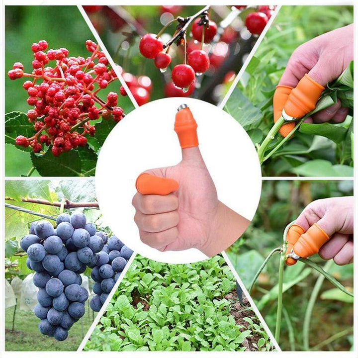 BowLift | (50% Off Today) Harvest vegetables, harvest fruits thumb measure