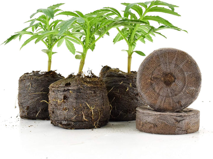 BowLift | Coconut Fiber Peat Seedling Pellets – Starter for Seed Planting