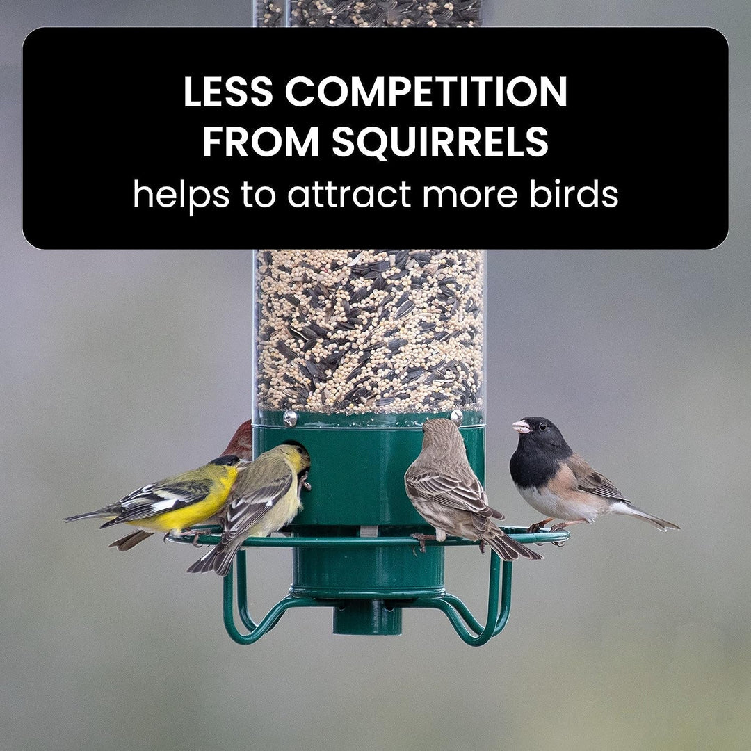 BowLift | Bird Feeder Hanging Metal Squirrel Proof Tube