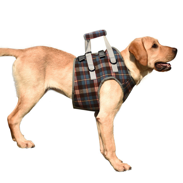 BowLift | Orthopedic Strap for Hind Legs