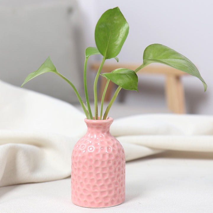Artistic Ceramic Miniature Vases Bowlift