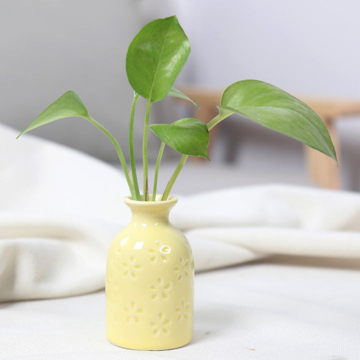 Artistic Ceramic Miniature Vases Bowlift