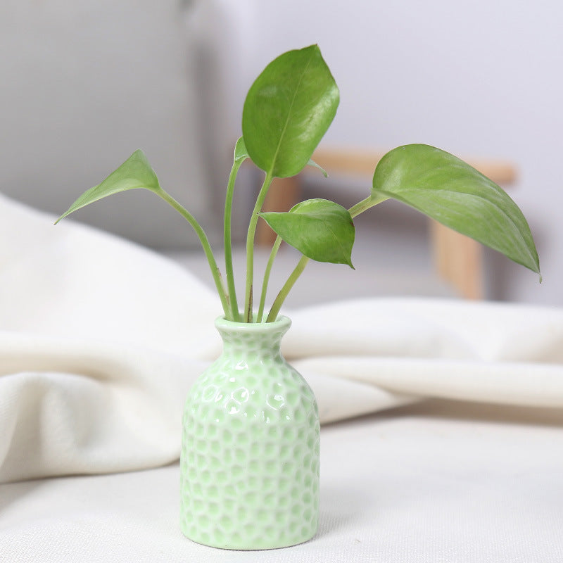 Artistic Ceramic Miniature Vases Bowlift
