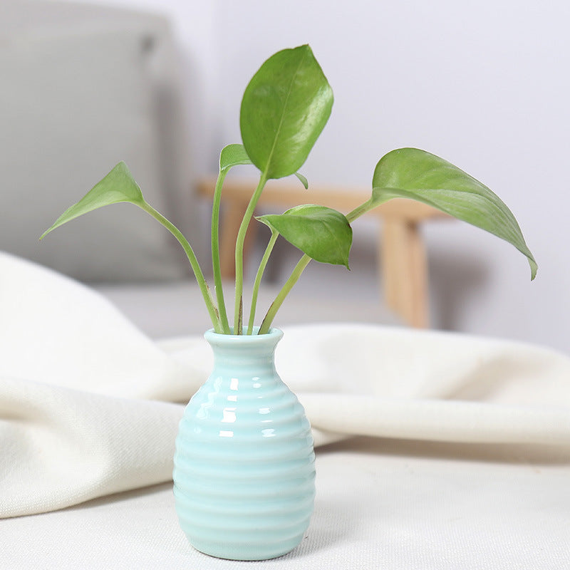 Artistic Ceramic Miniature Vases Bowlift