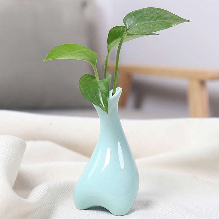 Contemporary Ceramic Plant Vase Bowlift