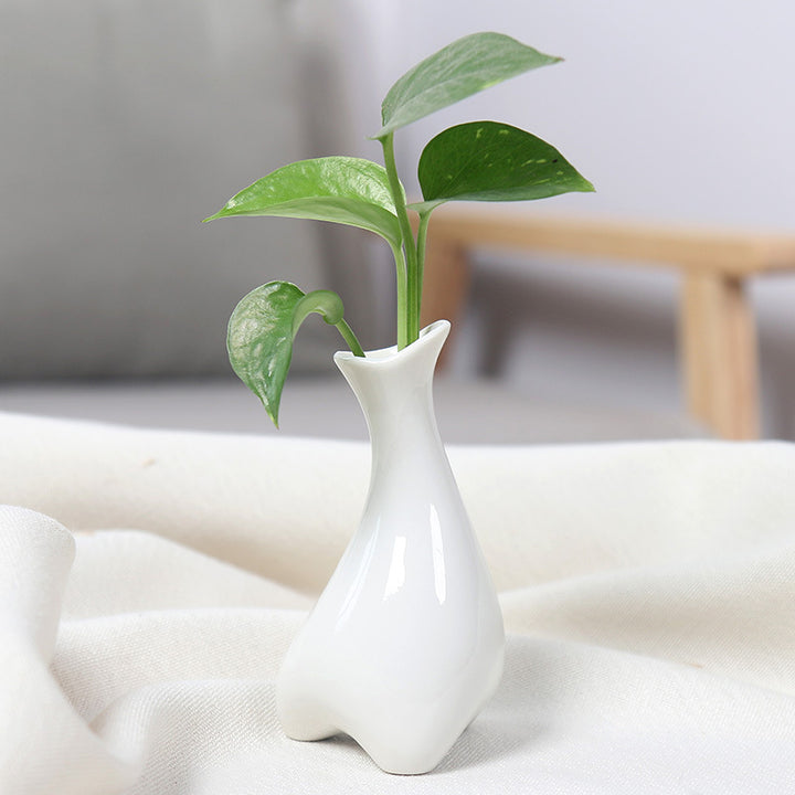 Contemporary Ceramic Plant Vase Bowlift