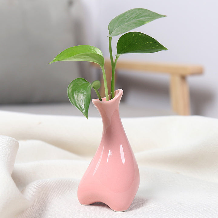Contemporary Ceramic Plant Vase Bowlift