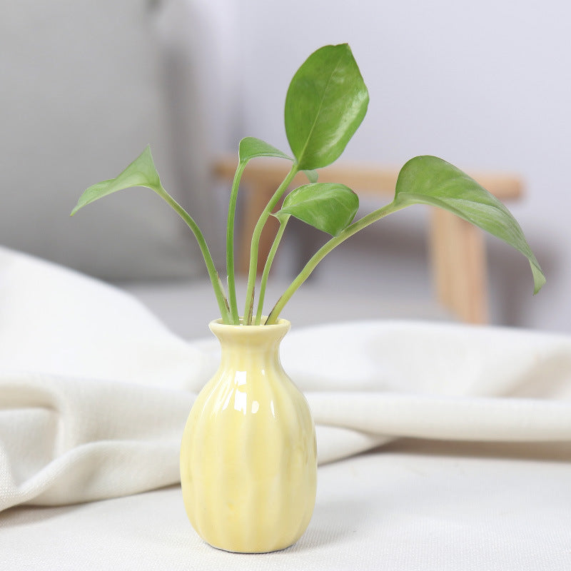Artistic Ceramic Miniature Vases Bowlift