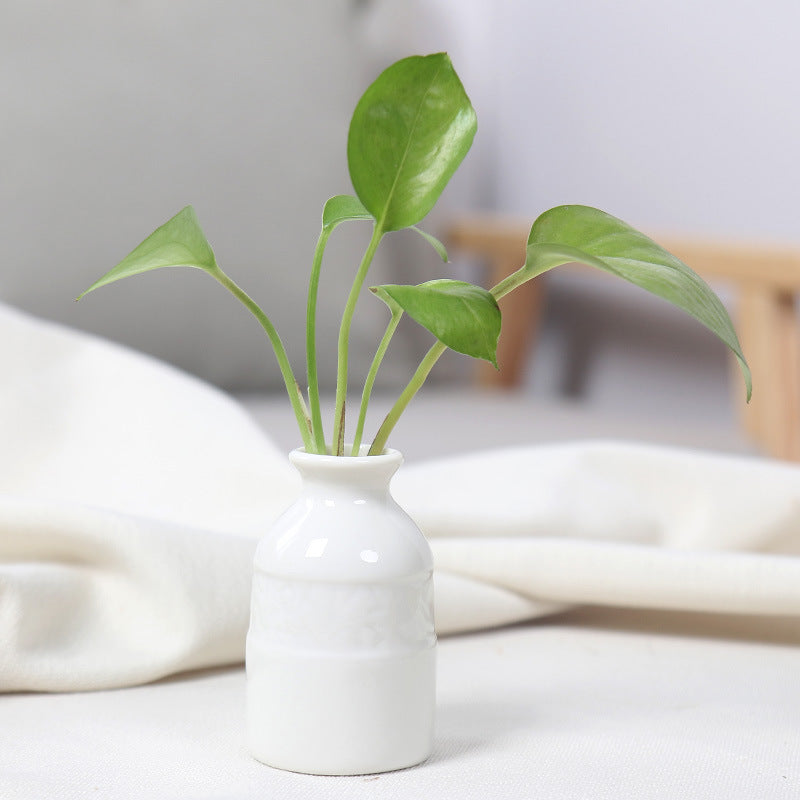 Artistic Ceramic Miniature Vases Bowlift
