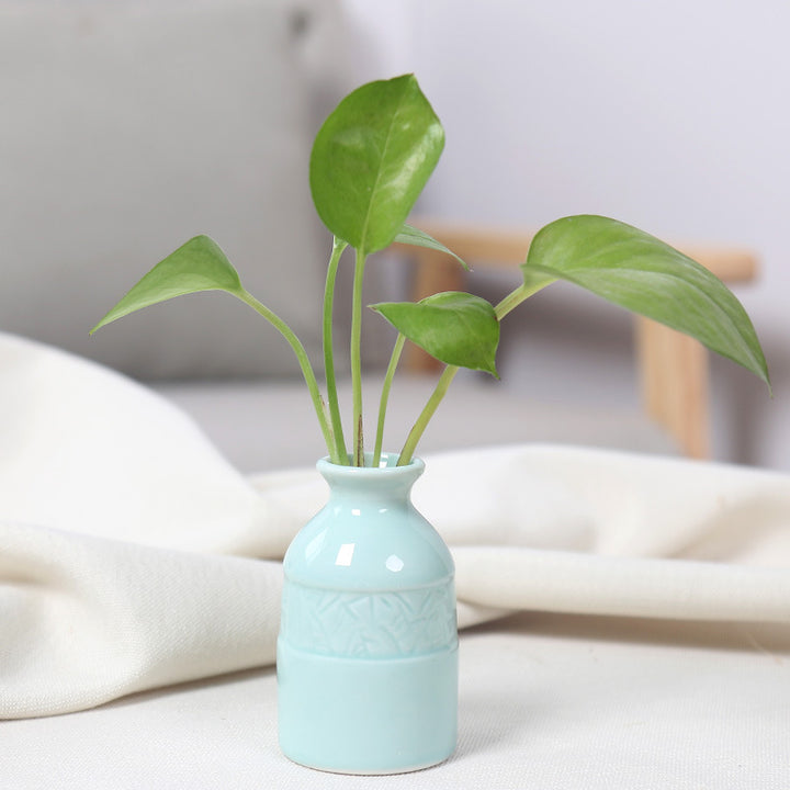 Miniature Ceramic Planter Bowlift