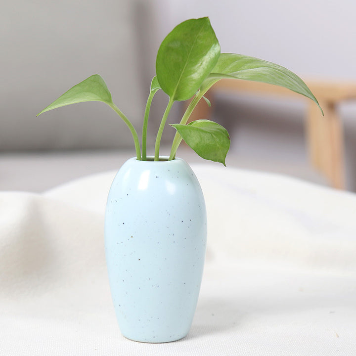 Elegant Ceramic Planter Bowlift