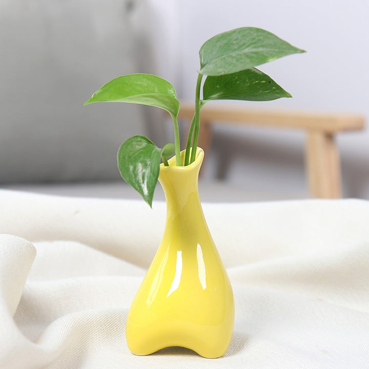 Contemporary Ceramic Plant Vase Bowlift
