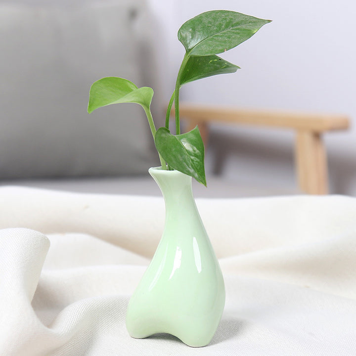 Contemporary Ceramic Plant Vase Bowlift