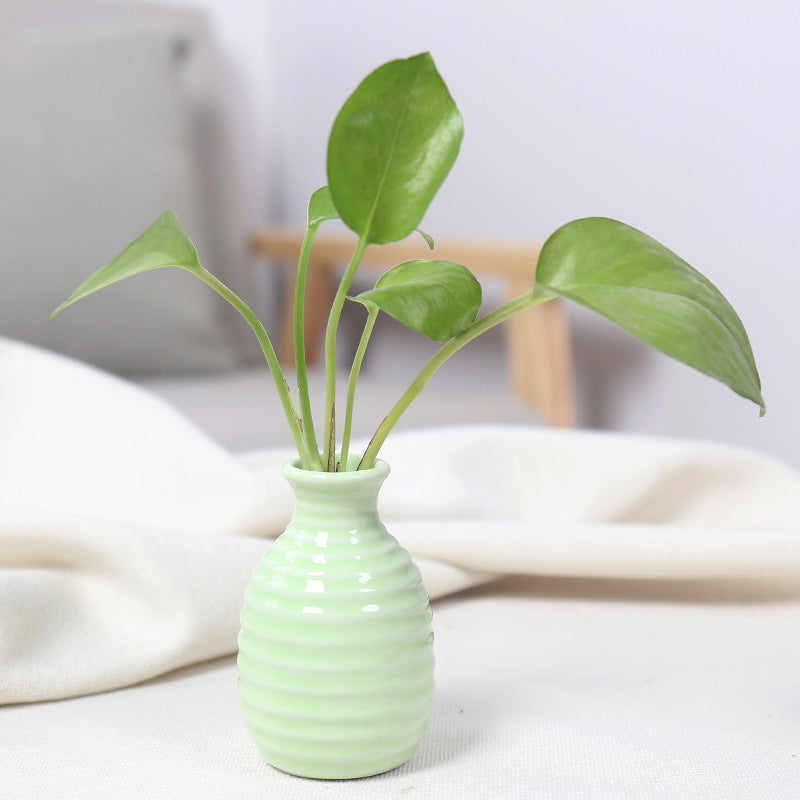 Artistic Ceramic Miniature Vases Bowlift