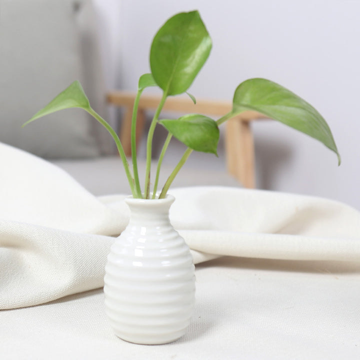 Artistic Ceramic Miniature Vases Bowlift