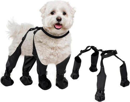 BowLift | Adjustable Dog Boots