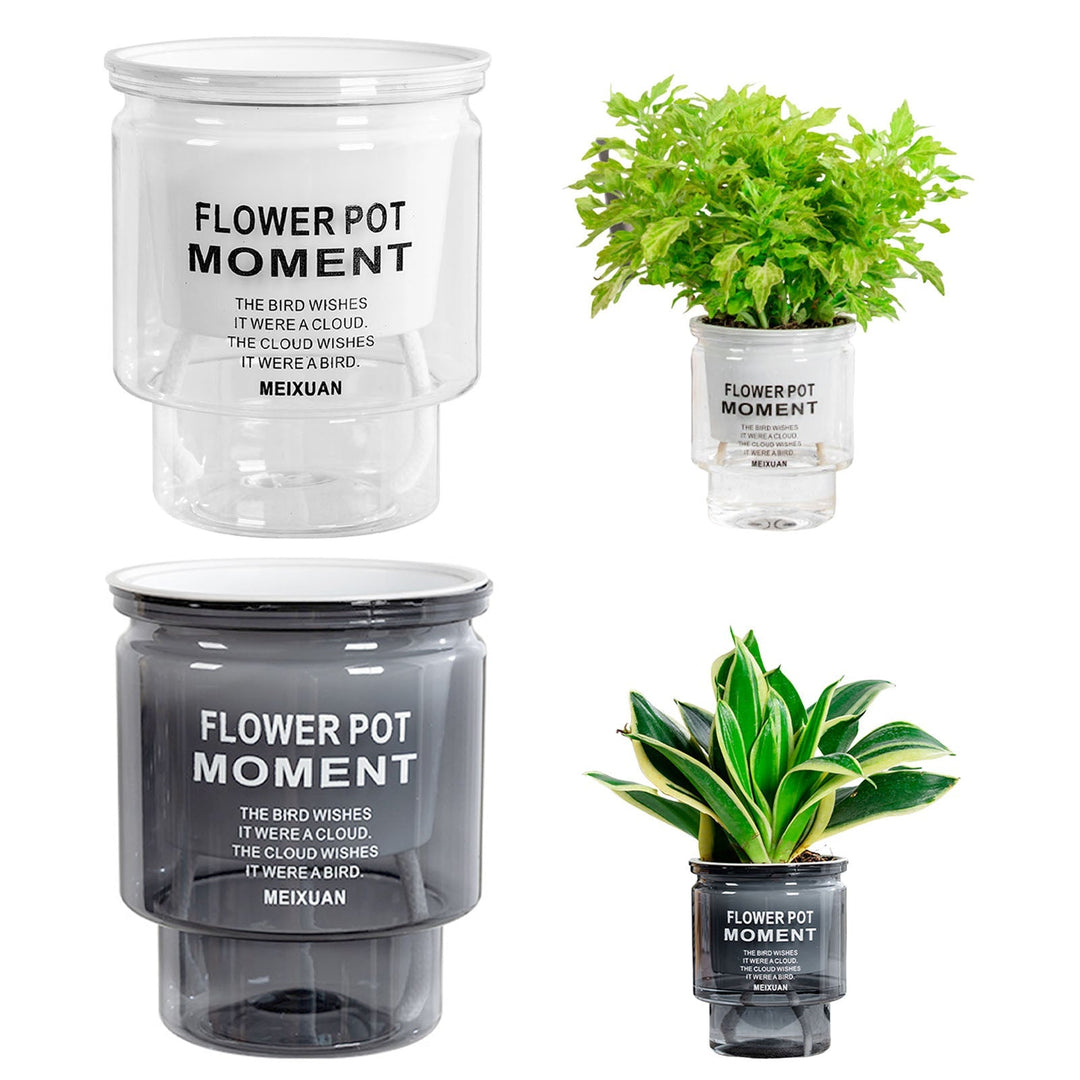 BowLift | Self-Watering Transparent Succulent Planter