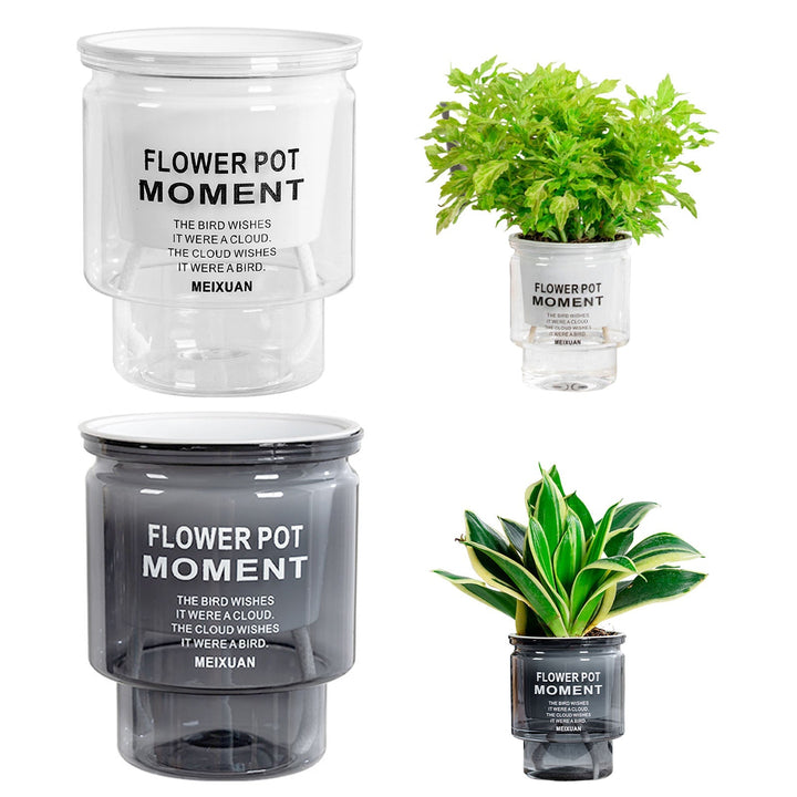 BowLift | Self-Watering Transparent Succulent Planter