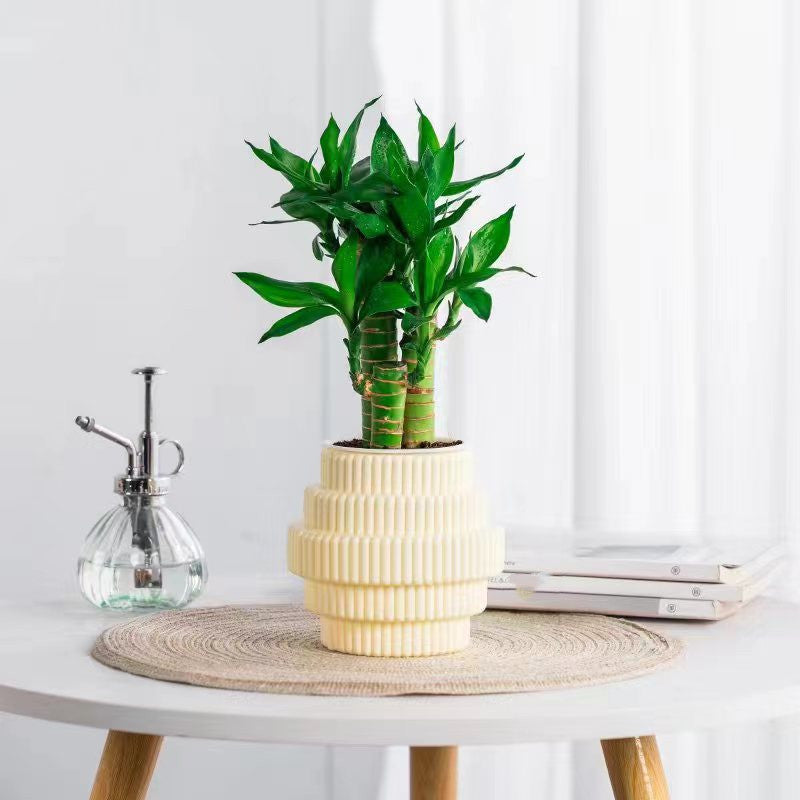 BowLift | Self-Watering Hydroponic Plant Pot – Modern Office Decor
