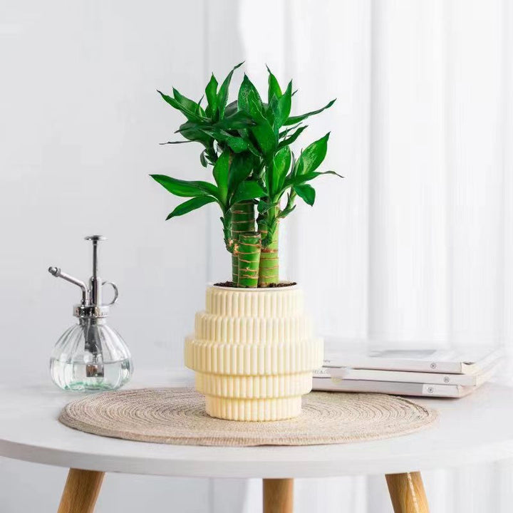 BowLift | Self-Watering Hydroponic Plant Pot – Modern Office Decor