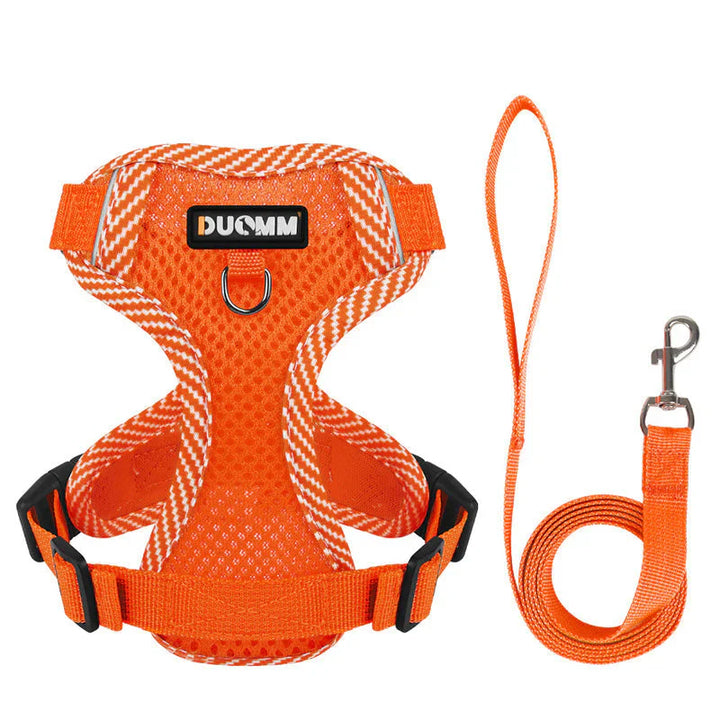 Reflective Dog Harness and Leash Set for Small Dogs – SafeStep Bowlift