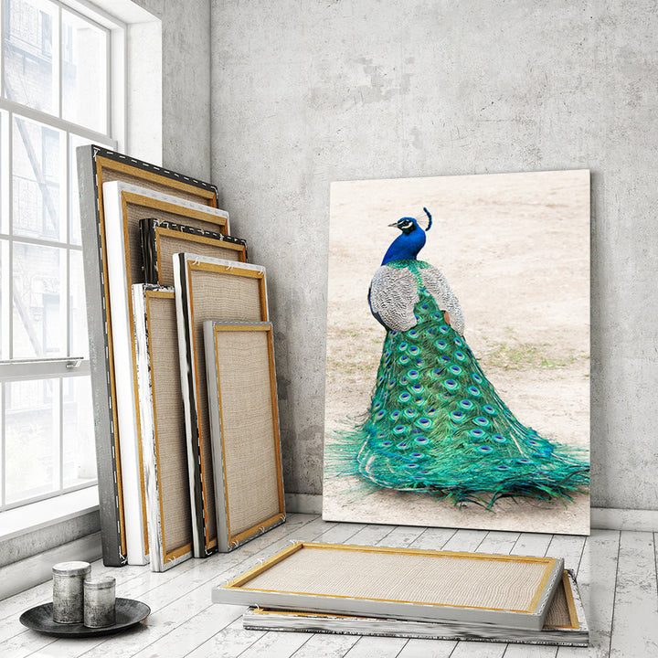 Skirted Elegant Peacock - Canvas Wall Art Painting | Bowlift